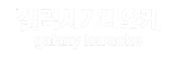 갤럭시 가라오케